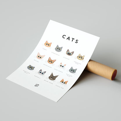 Cats Guide
