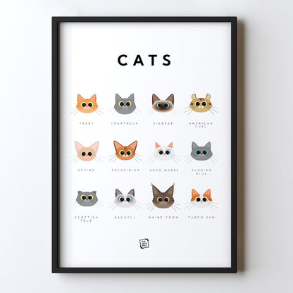 Cats Guide