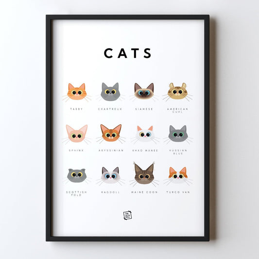 Cats Guide
