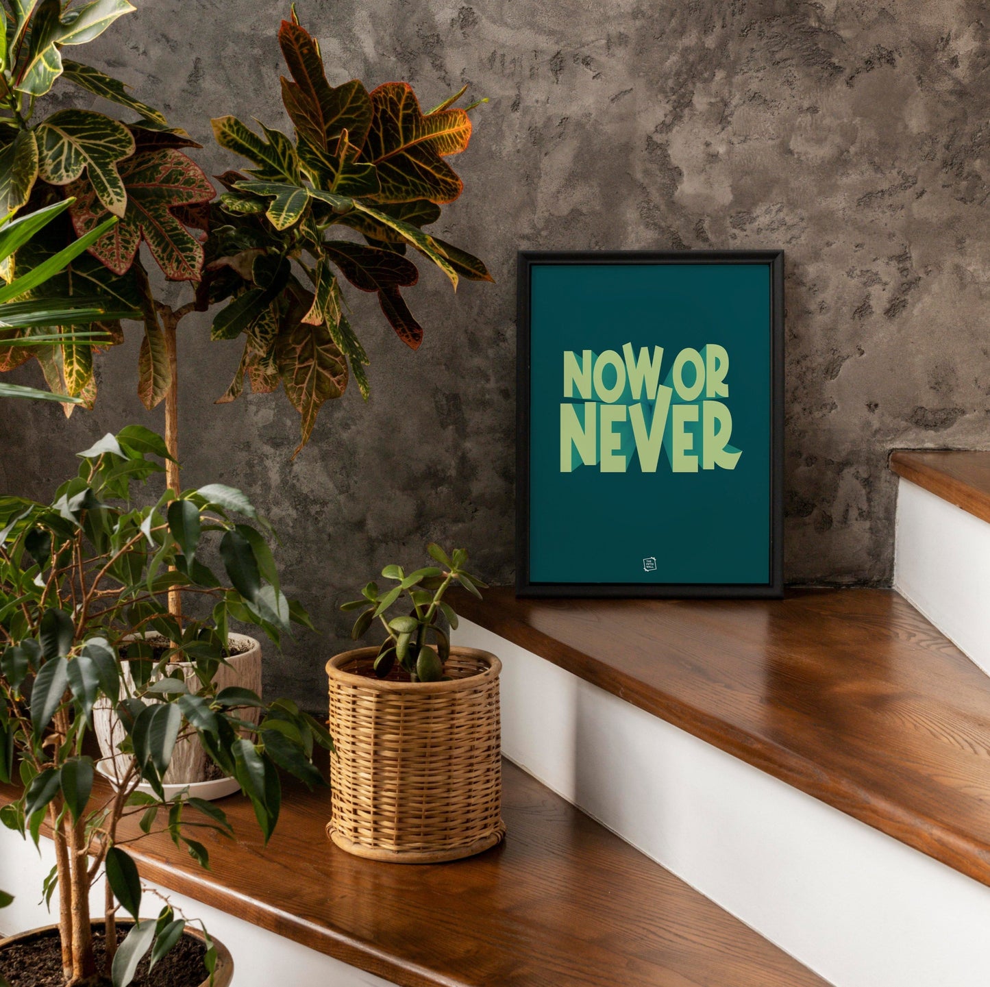 Now or Never