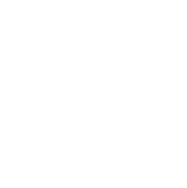 The Fifth Wall