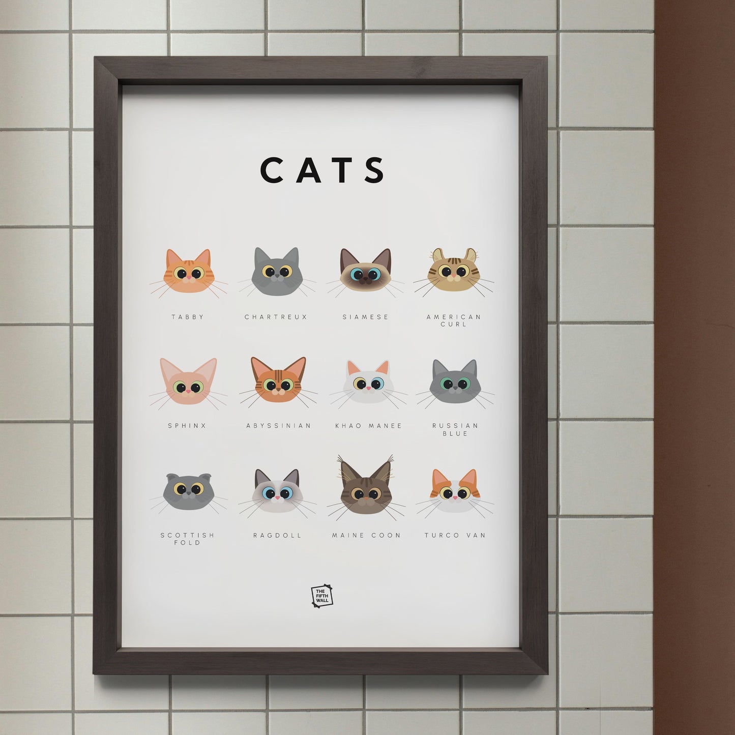 Cats Guide