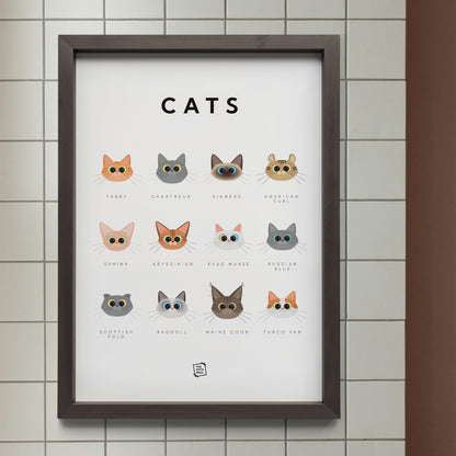 Cats Guide