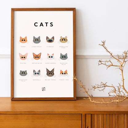 Cats Guide