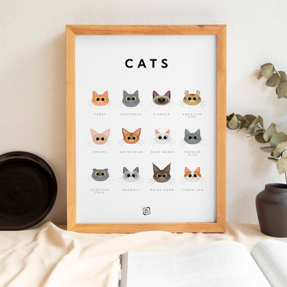 Cats Guide
