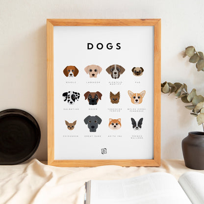 Dogs Guide